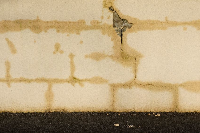 Schimmelpilzsanierung