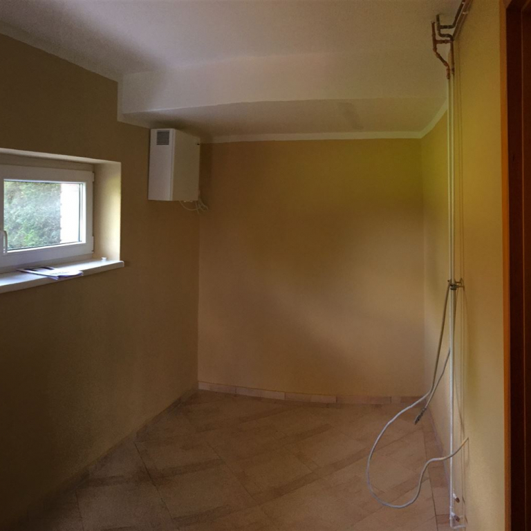 schimmelpilz referenz