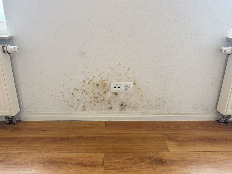 schimmelsanierung-11