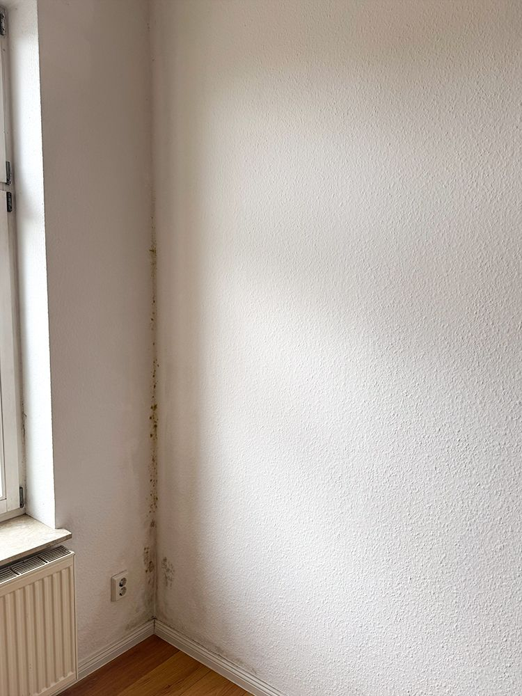 schimmelsanierung-12