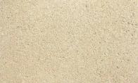 pasand-oysterbeige